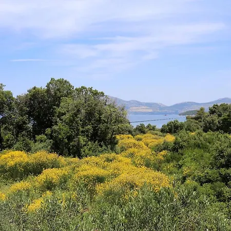 Apartments By The Sea Drace, Peljesac - 10127 Drace