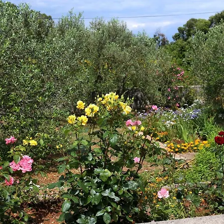 Apartmán By The Sea Drace, Peljesac - 10127