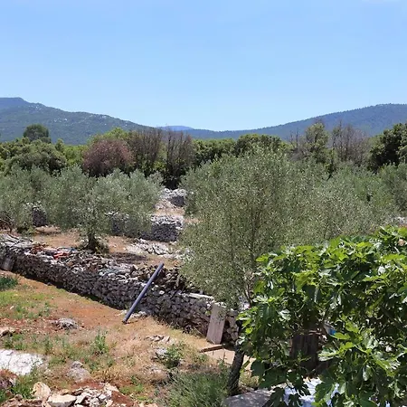 By The Sea Drace, Peljesac - 10127 Apartament