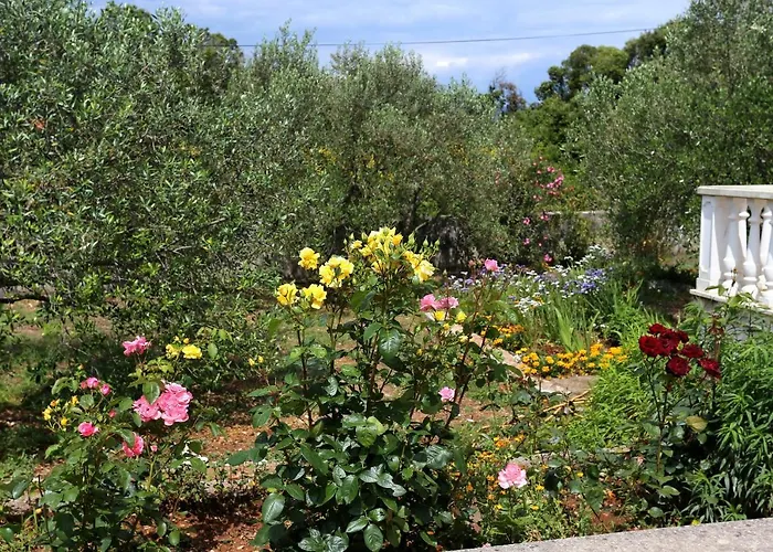 Lägenhet By The Sea Drace, Peljesac - 10127