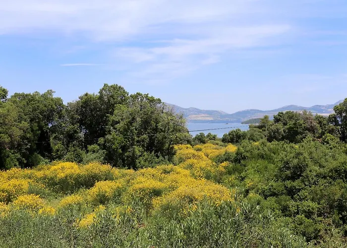 By The Sea Drace, Peljesac - 10127 Drače
