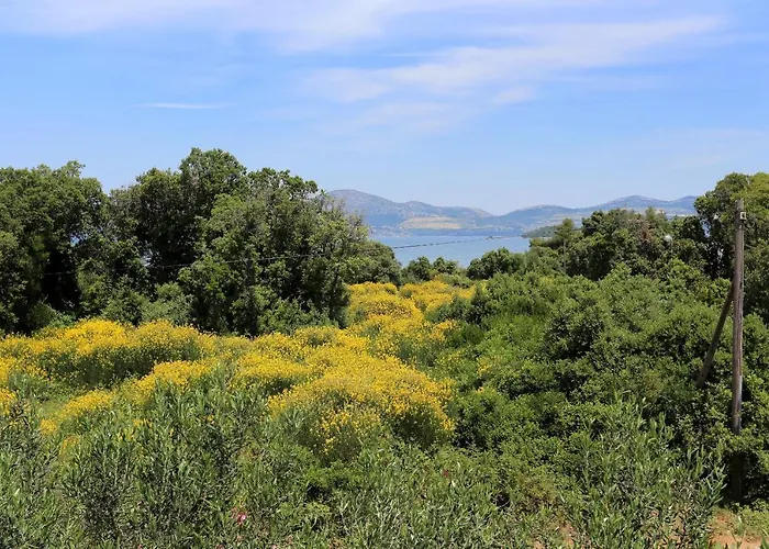By The Sea Drace, Peljesac - 10127 * Drače