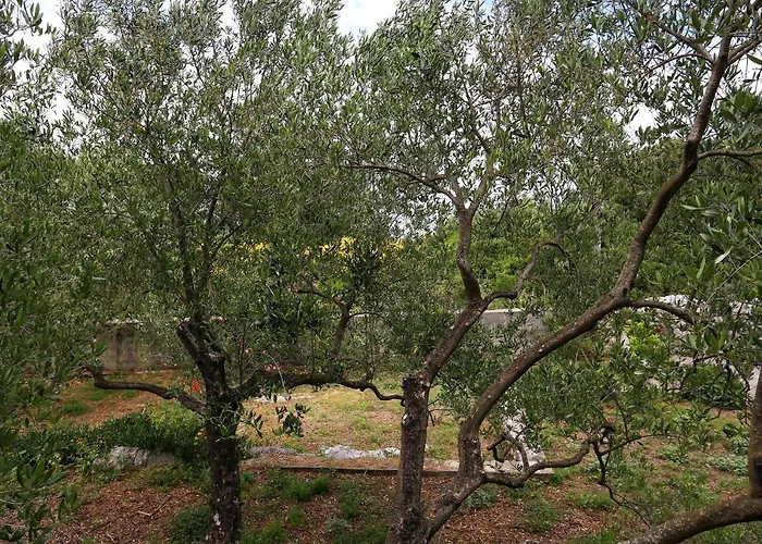 By The Sea Drace, Peljesac - 10127 *