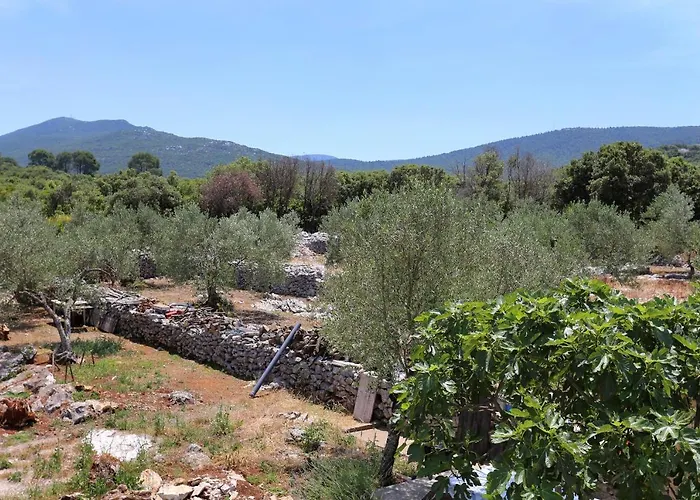 By The Sea Drace, Peljesac - 10127 Lägenhet